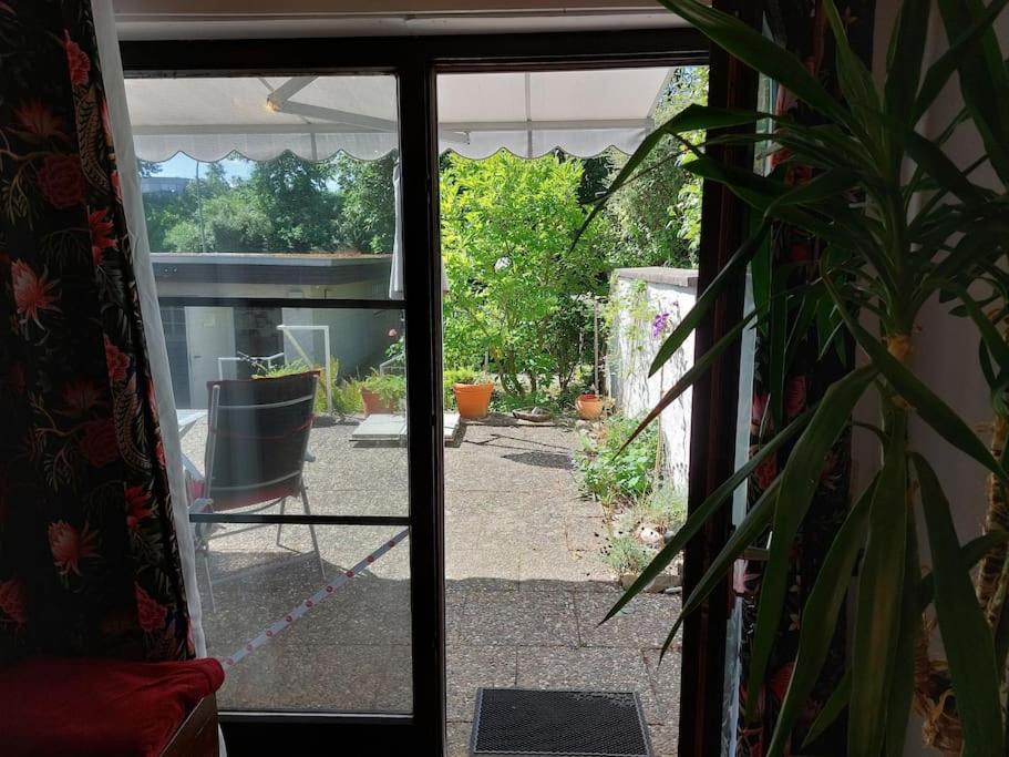 Grosszuegige Wohnung Mit Terrasse Wuerzburg, Zell Zell am Main ภายนอก รูปภาพ